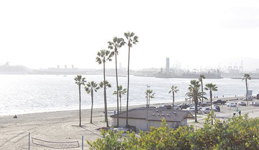 【California Buying Trip】4日目終了。南カリフォルニアへ移動。朝一に良いもの見つけました。