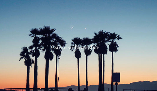 【California Buying Trip】7月1日より、2年半ぶりにアメリカ買い付けに行ってきます。