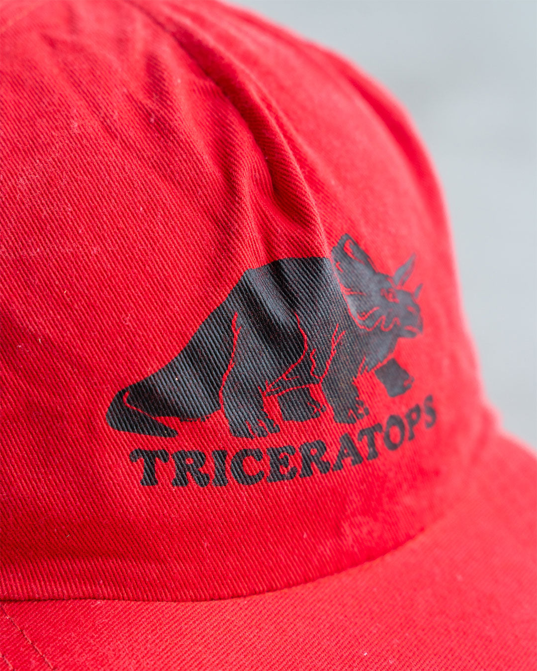 【VINTAGE】Used Good Cap ”TRICERATOPS"