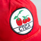 【VINTAGE】Used Good Cap ”CTGA"