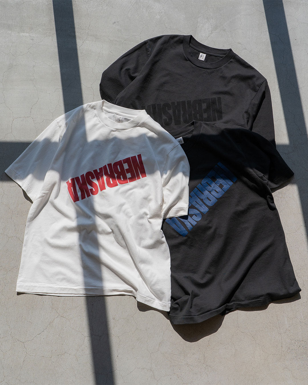 【Blurhms Rootstock】 "NEBRASKA" Print Tee Standard