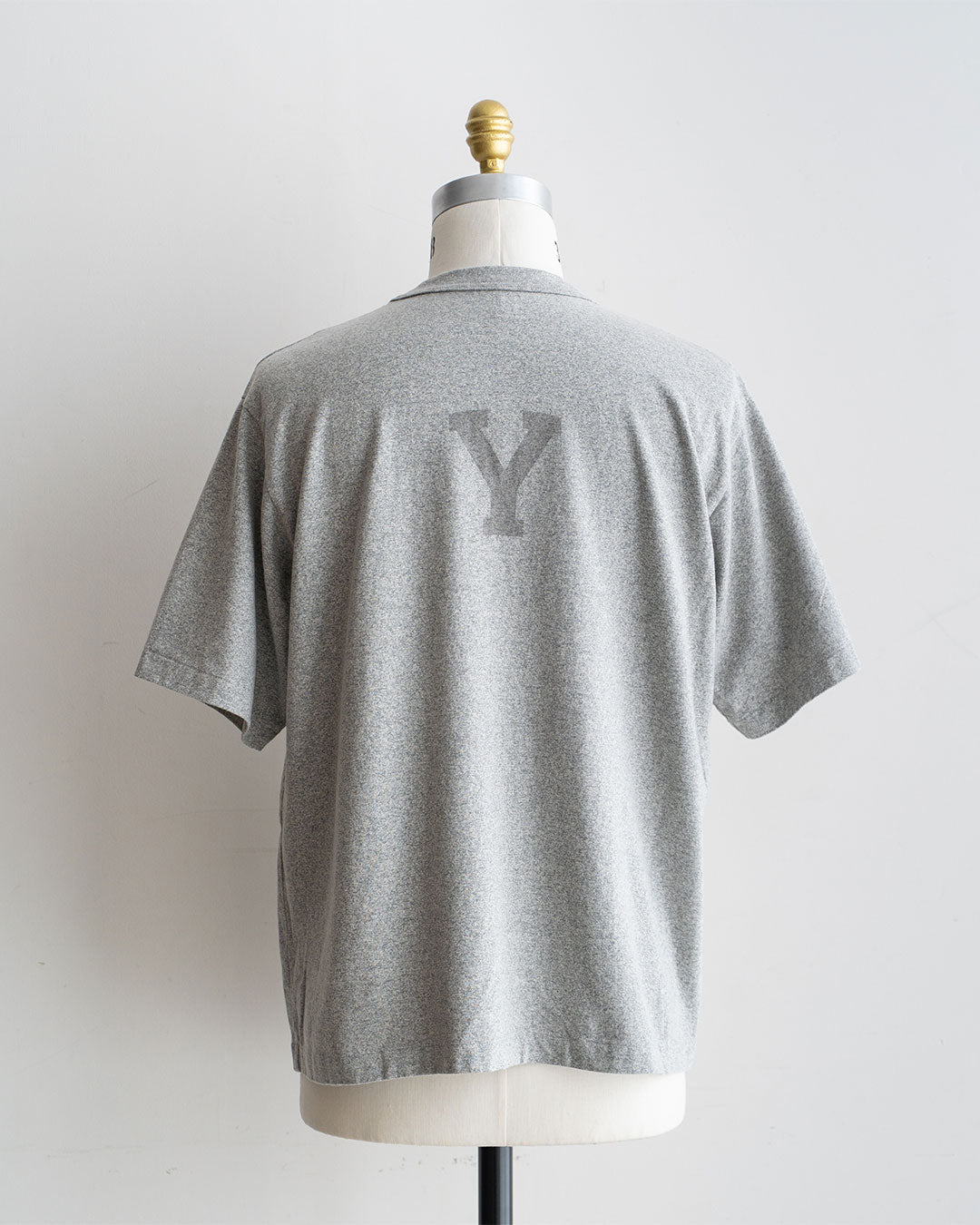 【Blurhms Rootstock】Cotton Rayon 88 / 12 Print Tee "ALE-Y"『Wide』