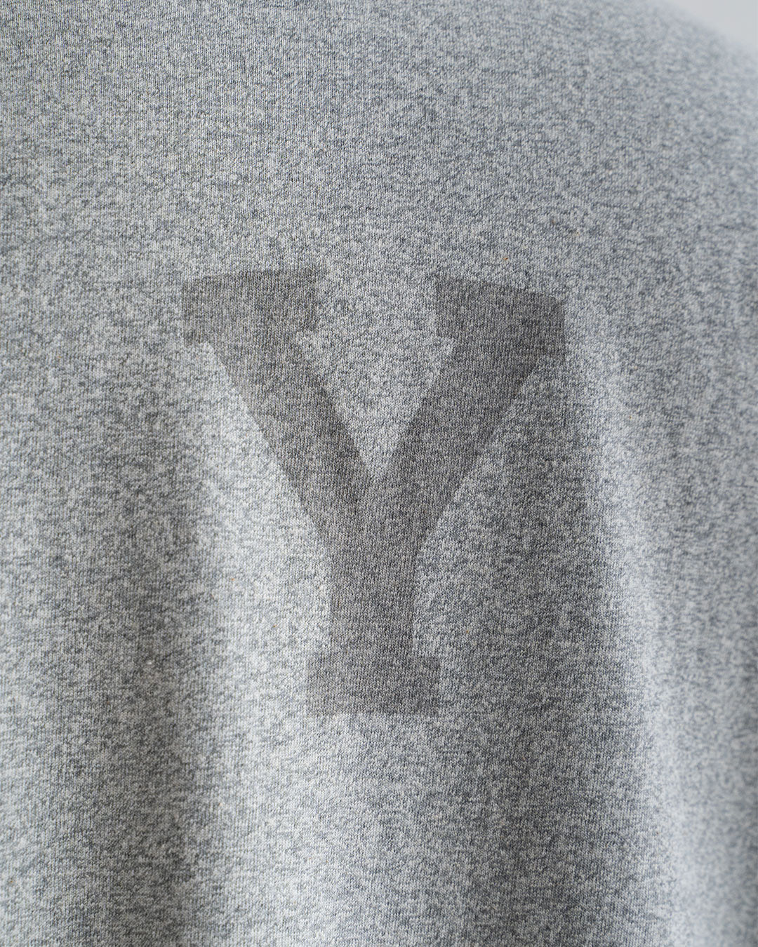 【Blurhms Rootstock】Cotton Rayon 88 / 12 Print Tee "ALE-Y"『Wide』
