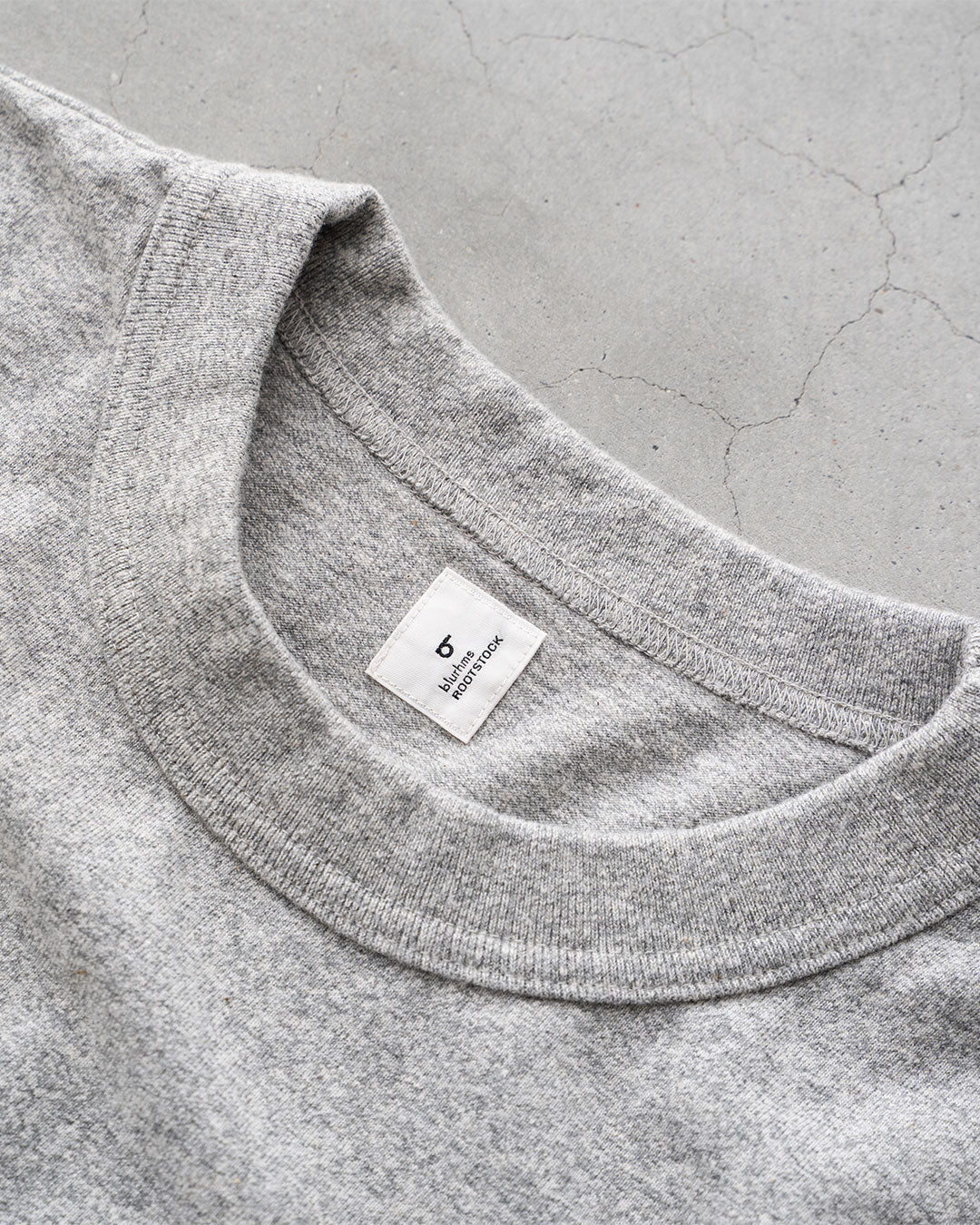 【Blurhms Rootstock】Cotton Rayon 88 / 12 Print Tee "ALE-Y"『Wide』