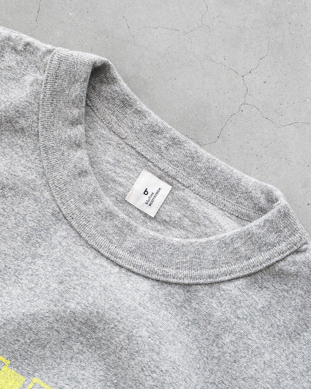 【Blurhms Rootstock】Cotton Rayon 88 / 12 Print Tee "X-X"『Wide』