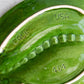 【VINTAGE】60s Mid Century Marble Ashtray (California Pottery) 『Made In USA』